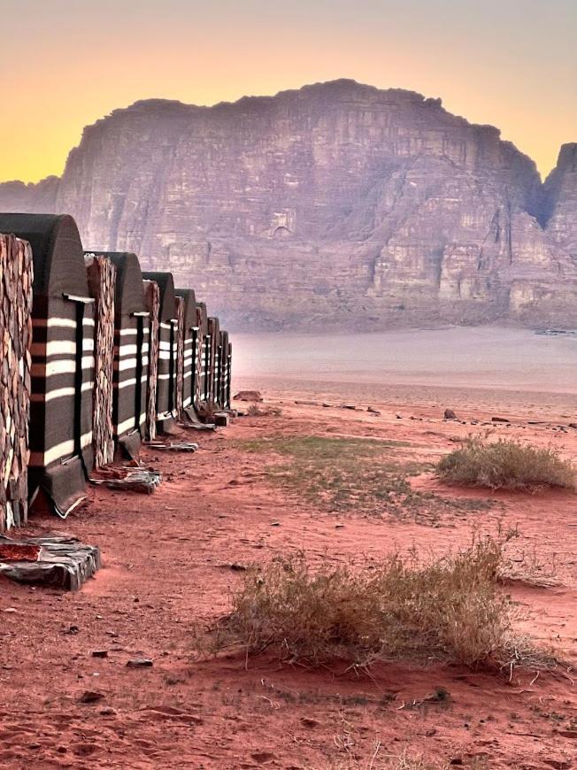 Wadi Rum Budget Camp Eksteriør billede