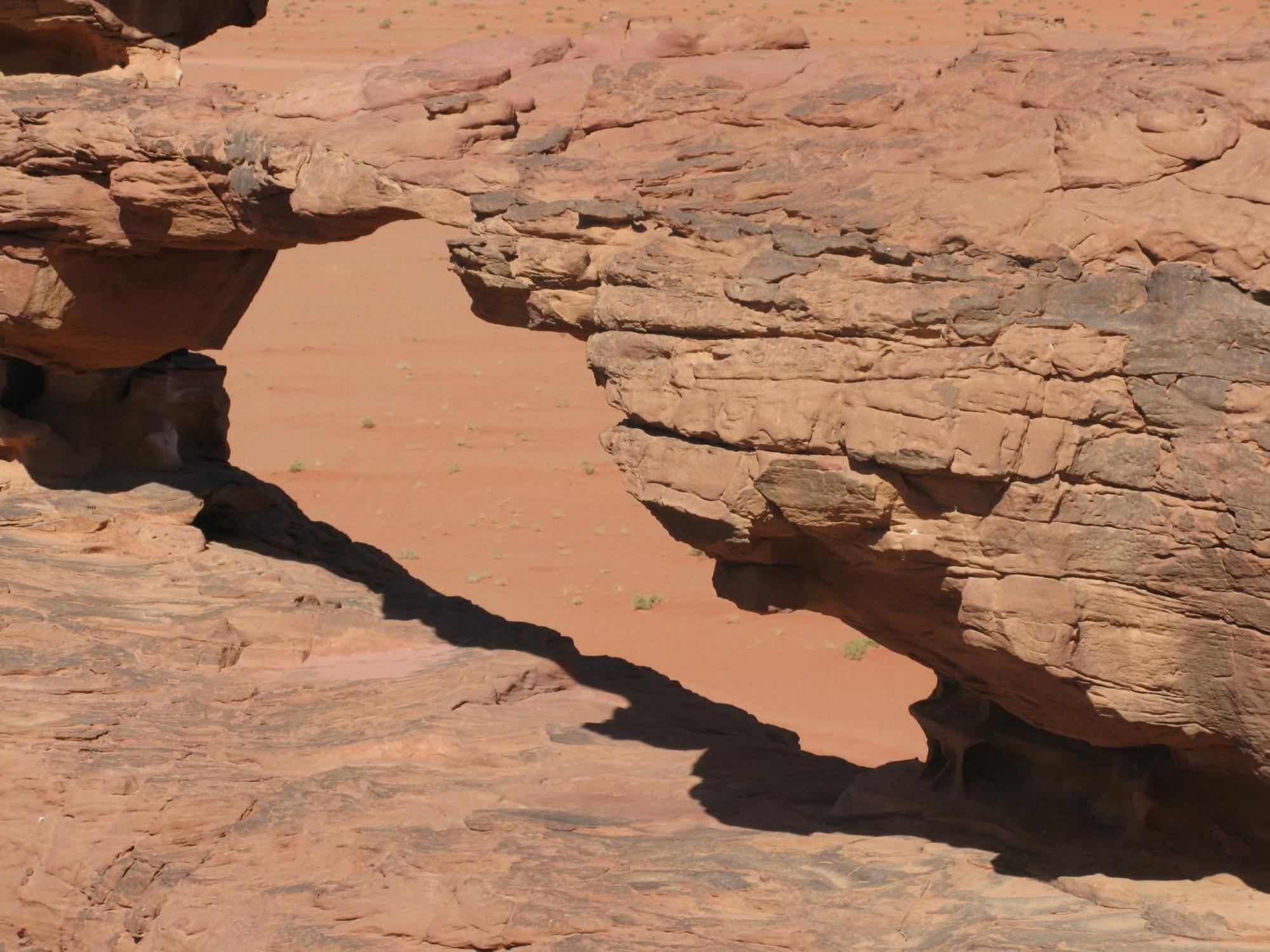 Wadi Rum Budget Camp Eksteriør billede